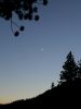 Yosemite NP